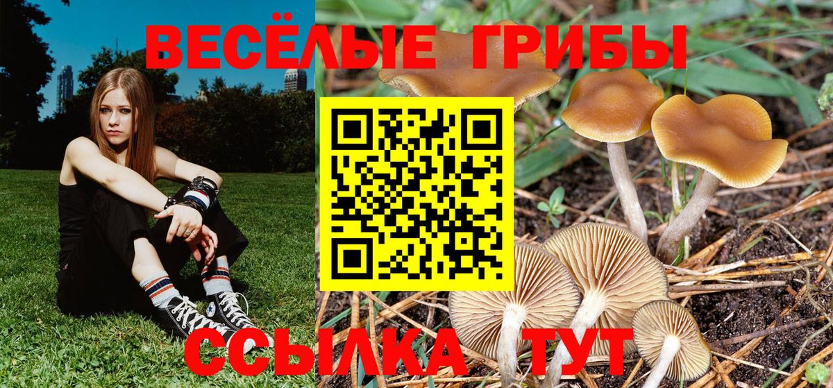 Псилоцибиновые грибы ЛСД  Вход с VPN  Ростов-на-Дону 